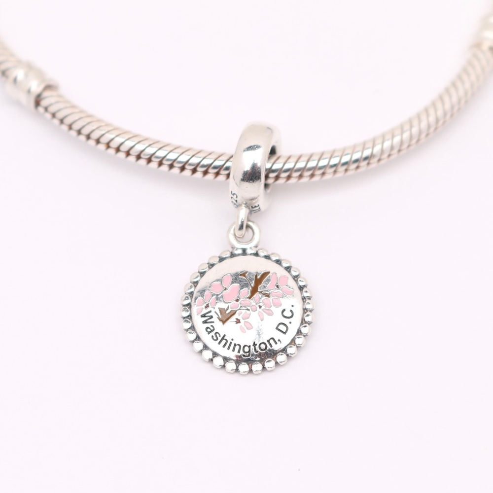 RARE Special Edition PANDORA Washington DC Dangle - Picture 5 of 13